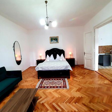 Maximus Apartments Sighişoara Buitenkant foto