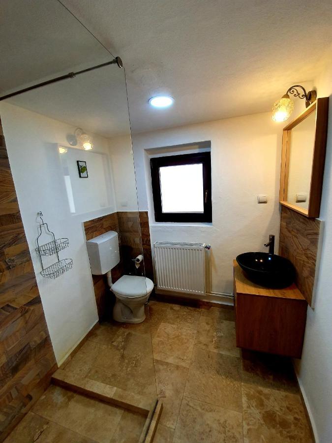 Maximus Apartments Sighişoara Buitenkant foto